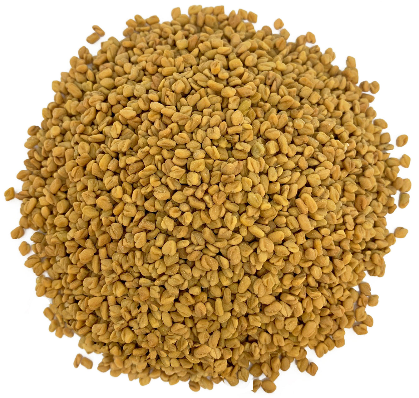 Fenugreek Seeds