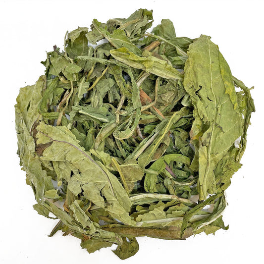 Dandelion Leaf - Premium