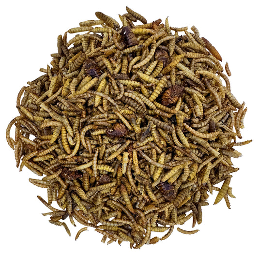 Dried Insect Mix