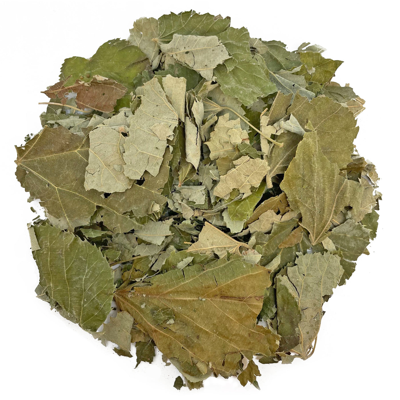 Linden Leaves