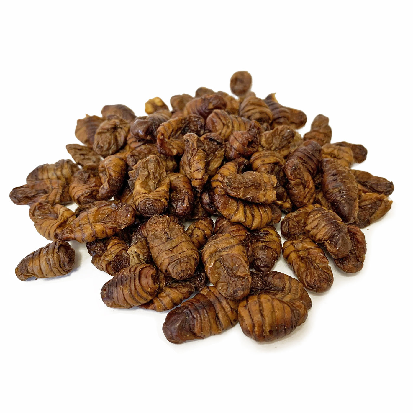 Dried Silkworm Pupae