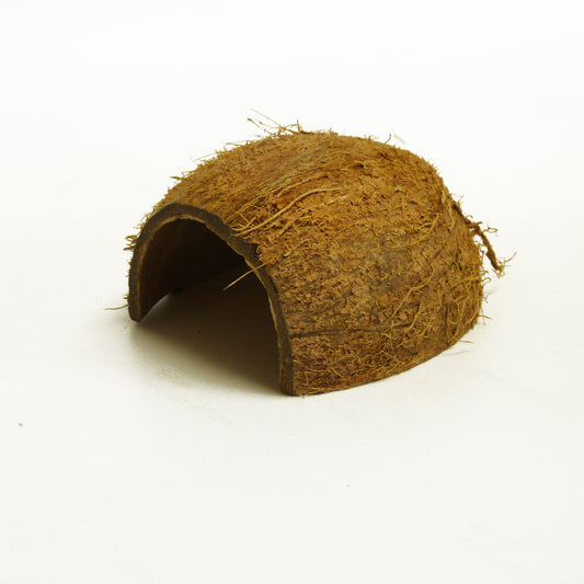 Coconut Spider Hide (240pk)