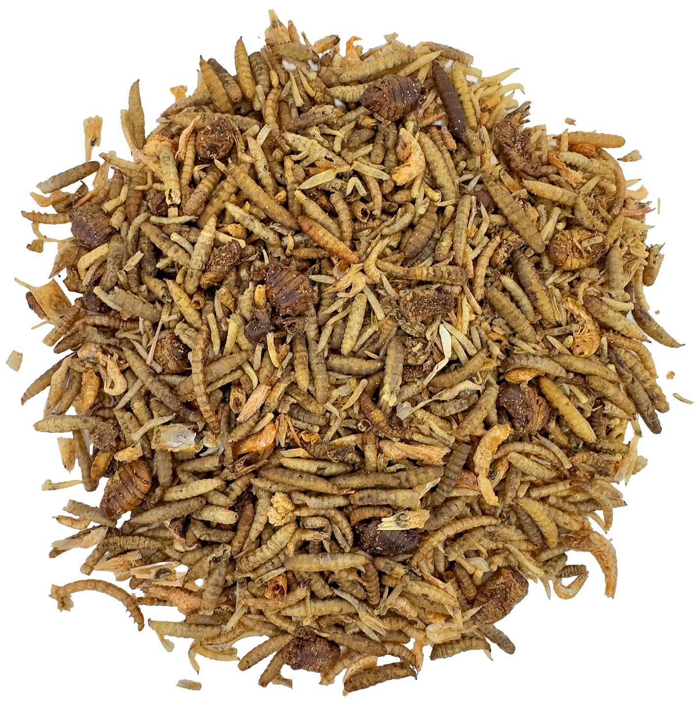 Dried Insect Mix 10kg – Natures Grub Bulk