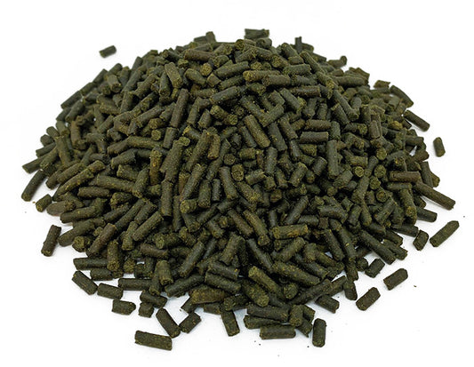 Veggie Sticks with Spirulina & Garlic